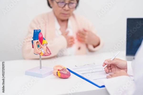 Fototapeta Doctor with Heart anatomy model. Elderly Patient consultation medical health for Cardiovascular Diseases, Atherosclerosis, Hypertensive, Heart attack, heart failure and world Heart day concept
