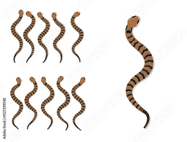 Fototapeta Timber Rattlesnake Animal Animation Sequence Cartoon Vector