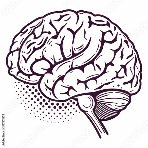 Obraz Brain with halftone stipple effect vector	