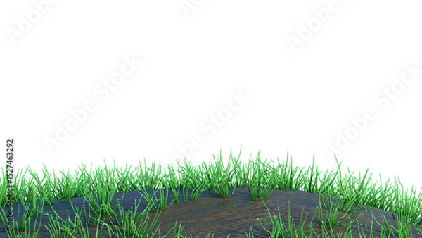 Obraz green grass field background 3D rendering