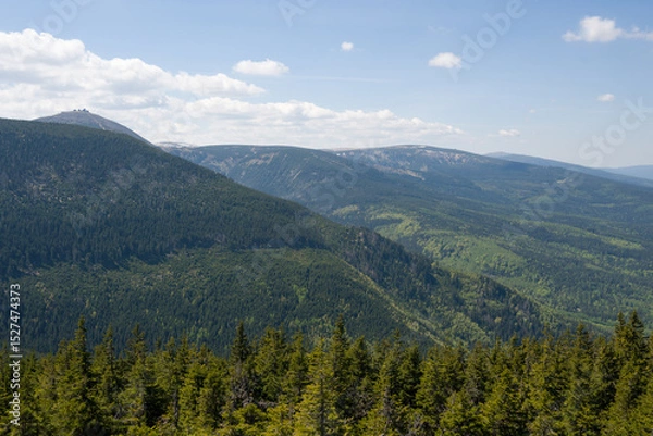 Obraz Distant Sniezka with Forest View