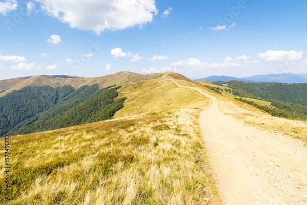 Obraz dirt road in carpathian mountains. krasna ridge in summer