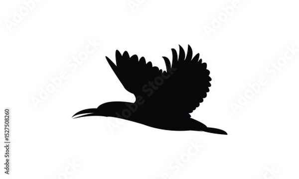 Fototapeta Flying Amazon kingfisher bird Silhouette Design  And Vector Illustration. 