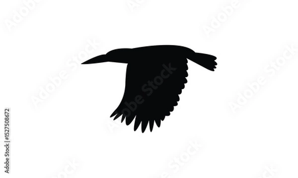 Fototapeta Flying Amazon kingfisher bird Silhouette Design  And Vector Illustration. 