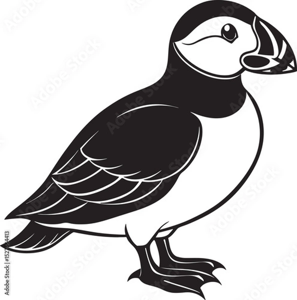 Fototapeta bird on a white background