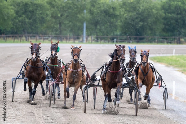 Obraz Modena, Italy – 05 18 2025: Racing horses trots and rider on a track of stadium. Competitions for trotting horse racing. Horses compete in harness racing. Horse runing at the track with rider.
