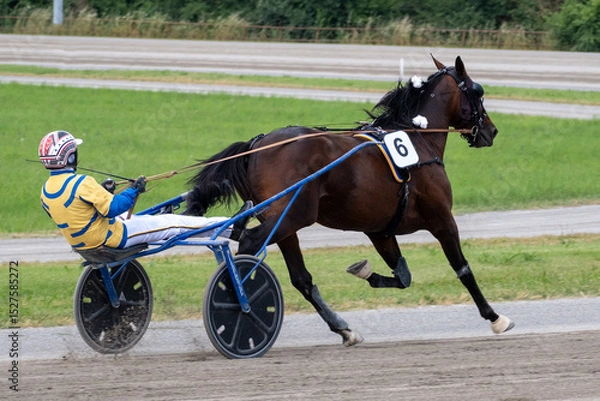 Obraz Modena, Italy – 05 18 2025: Racing horses trots and rider on a track of stadium. Competitions for trotting horse racing. Horses compete in harness racing. Horse runing at the track with rider.
