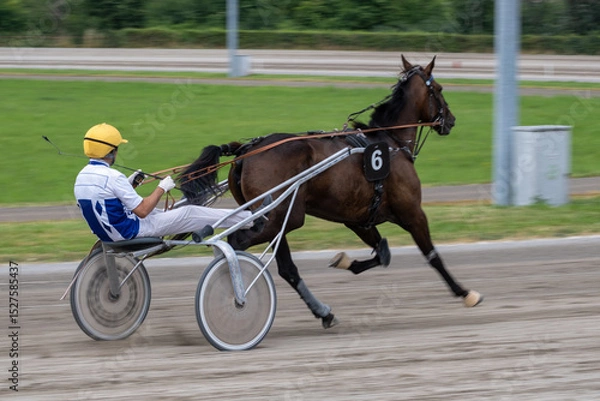 Obraz Modena, Italy – 05 18 2025: Racing horses trots and rider on a track of stadium. Competitions for trotting horse racing. Horses compete in harness racing. Horse runing at the track with rider.
