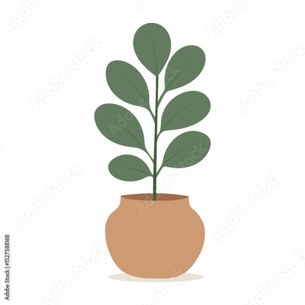 Obraz House plants in pots. Element for design house, room or office. Isolated element on white background.