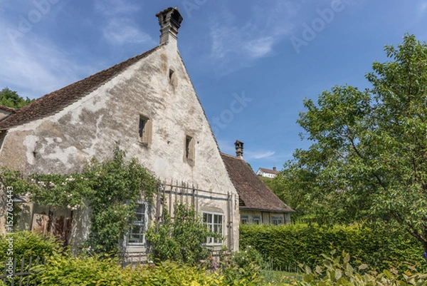 Fototapeta Old house with a steep, tiled roof and weathered facade, surrounded by lush greenery and trees. The white exterior shows signs of age, with patches of wear. Windows are framed with climbing plants.