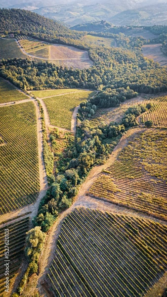 Fototapeta Scenic Tuscan Landscape with Olive Groves and Vineyards at Golden Hour – Idyllic Countryside in Italy