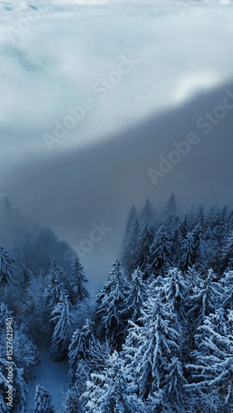 Fototapeta winter mountain landscape with snow, fog and cloud covered trees and skies