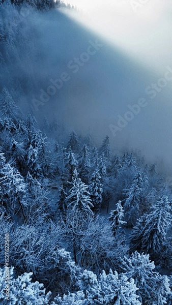 Fototapeta winter mountain landscape with snow, fog and cloud covered trees and skies