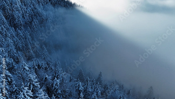 Fototapeta winter mountain landscape with snow, fog and cloud covered trees and skies