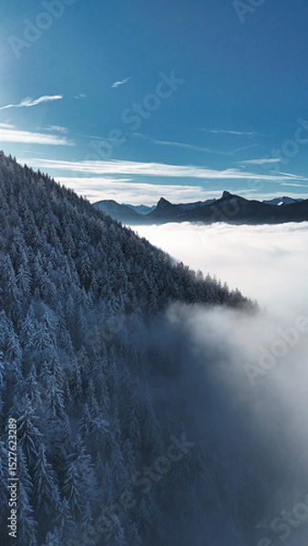 Fototapeta winter mountain landscape with snow, fog and cloud covered trees and skies