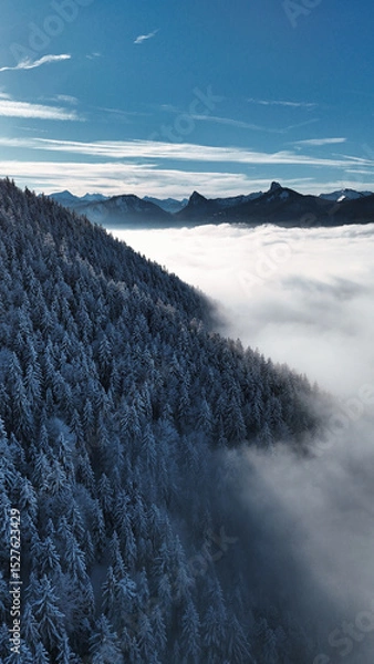 Fototapeta winter mountain landscape with snow, fog and cloud covered trees and skies
