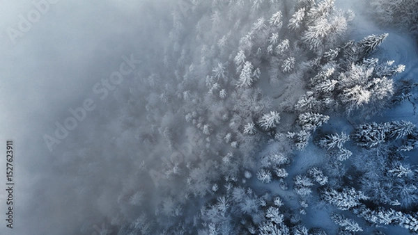Fototapeta winter mountain landscape with snow, fog and cloud covered trees and skies