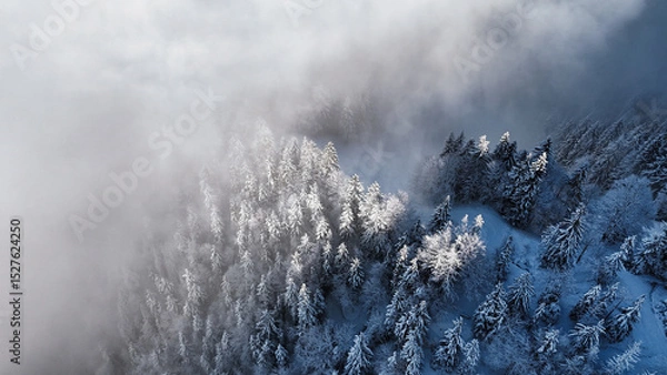 Fototapeta winter mountain landscape with snow, fog and cloud covered trees and skies