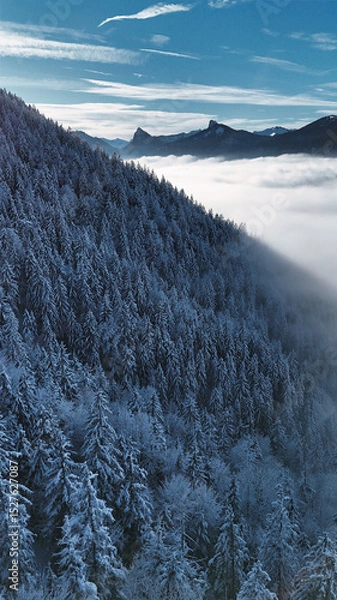 Fototapeta winter mountain landscape with snow, fog and cloud covered trees and skies