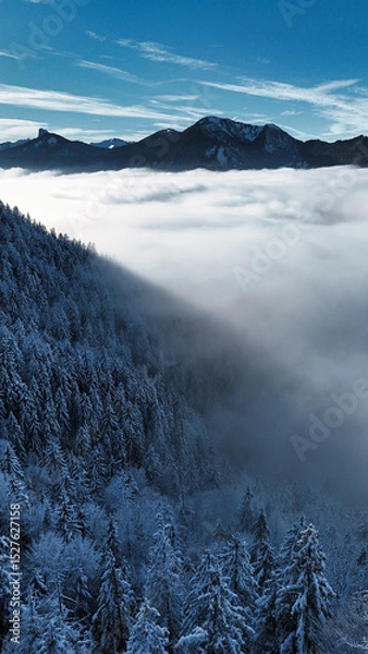 Fototapeta winter mountain landscape with snow, fog and cloud covered trees and skies