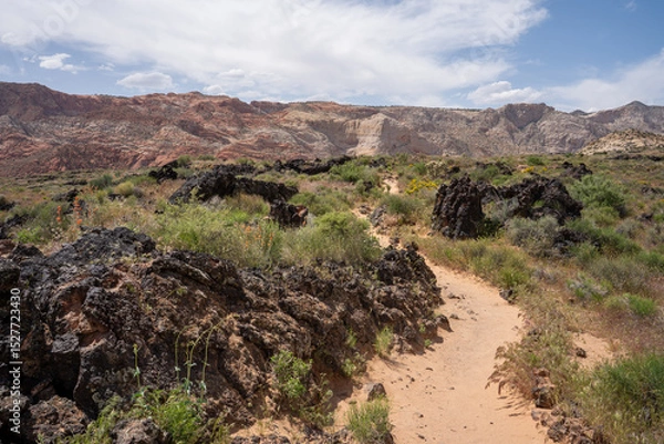 Obraz View of colorful rocks in Snow Canyon State Park, Lava Flow Trail, St. George, Utah, USA. 
