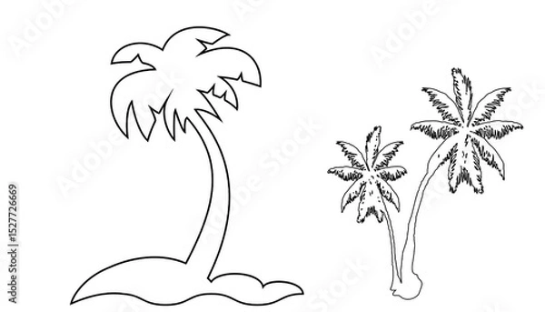 Fototapeta tropical palm tree