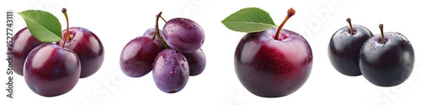 Fototapeta Collection of damson plum fruits, isolated on a transparent background