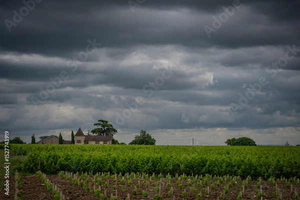 Obraz Lush green vineyards stretch across the landscape in Saint-Laurent-des-Combes, Bordeaux, while dark clouds gather above, signaling an upcoming change in weather.