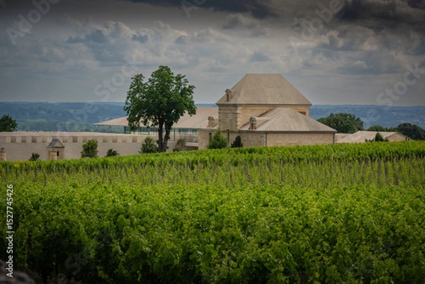 Obraz Springtime reveals lush vines at Chateau Belair-Monnange in Saint-Emilion. Dark clouds loom over the Bordeaux vineyard, enhancing its serene beauty and rich landscape.