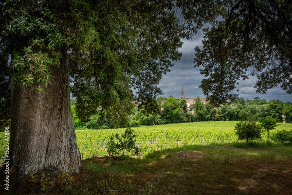 Obraz Lush green vines stretch across the vineyard in Saint-Emilion, with a distant church steeple peeking through the trees under an overcast sky, creating a serene landscape.