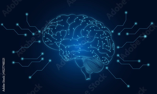 Fototapeta Brain network Visualize neural connections