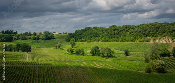 Obraz Vibrant vineyards stretch across the landscape of Saint-Emilion, rich in greenery and life during springtime, embodying the charm of the Bordeaux wine route.
