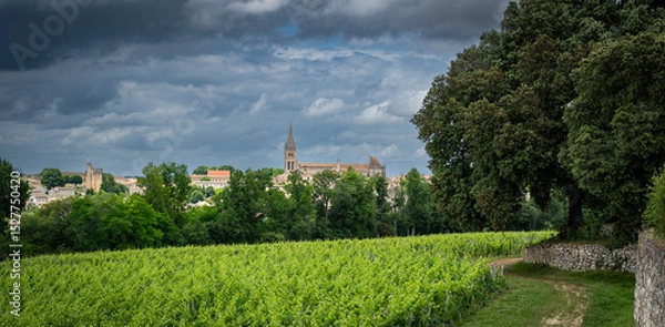 Obraz Lush green vines stretch across the vineyard in Saint-Emilion, with a distant church steeple peeking through the trees under an overcast sky, creating a serene landscape.