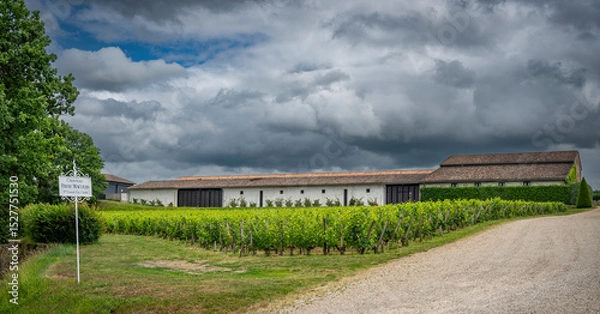 Obraz Exploring the picturesque landscape of Chateau Pavie-Macquin in Saint-Emilion, surrounded by vibrant vineyards under a dramatic cloud-filled sky.