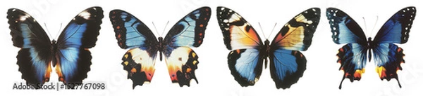 Fototapeta PNG Vibrant blue butterflies in sequence, element set on transparent background