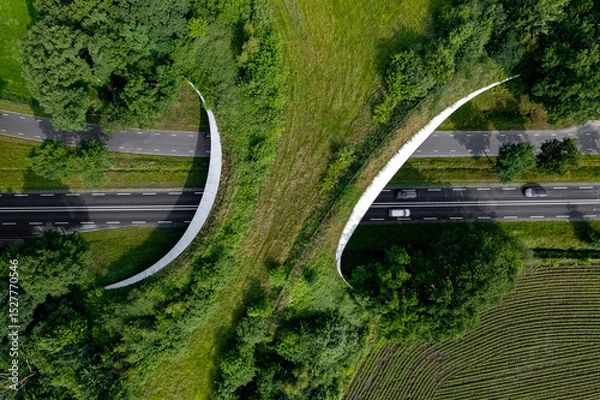 Fototapeta Road traversed by wildlife crossing forming a safe natural corridor bridge for animals to migrate between conservancy areas. Environment nature reserve infrastructure eco passage.