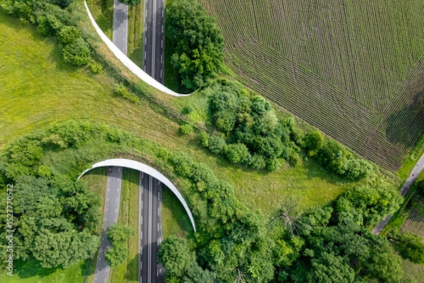 Fototapeta Arrow shaped ecoduct wildlife crossing forming a safe natural corridor bridge for animals to migrate between conservancy areas. Environment nature reserve infrastructure eco passage.