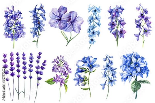 Obraz Set of beautiful watercolor flowers on isolated background. Blue delphinium flowers, purple lavender, lilac. Summer floral clipart