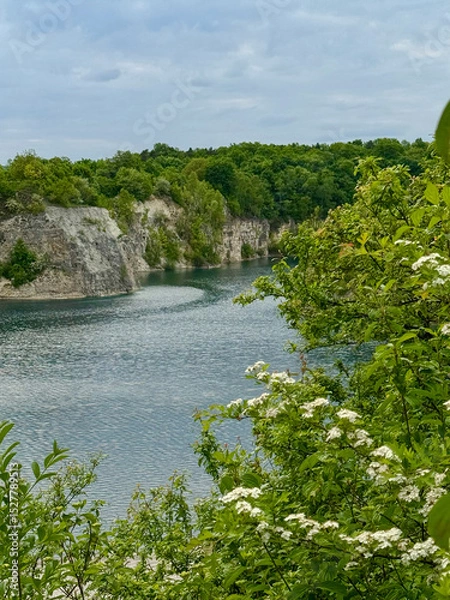 Obraz river in the forest