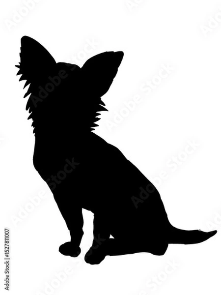 Obraz 小型犬のシルエット