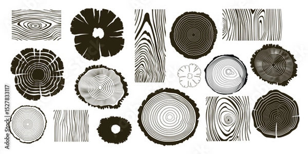 Fototapeta Wooden logs textures. Wood concepts graphics, lumber circles top view. Vintage outline tree rings stumps, cut trees structure racy vector collection
