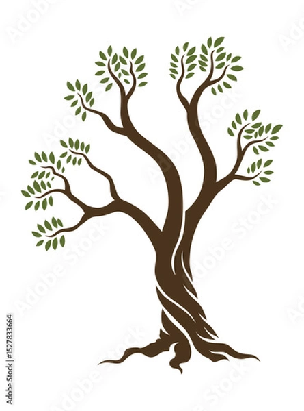 Fototapeta Olive trees with branches and leaves for design of packaging, label, logotype or banner. Natural organic stylized olive icon, premium quality sign. Vector illustration