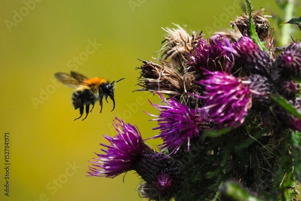 Obraz OLYMPUS DIGITAL CAMERA