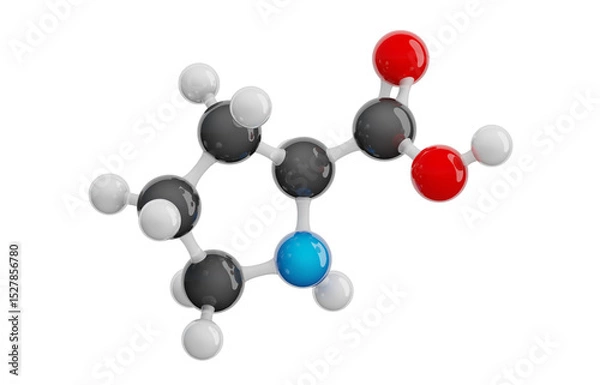 Fototapeta Proline (Pro) molecule isolated on transparent background. Conditionally essential amino acid. Molecular formula: C5H9NO2. Chemical model: Ball and stick. 3D illustration.
