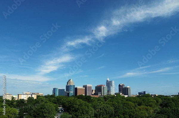 Obraz Aerial view of the downtown Raleigh skyline with trees in the foreground