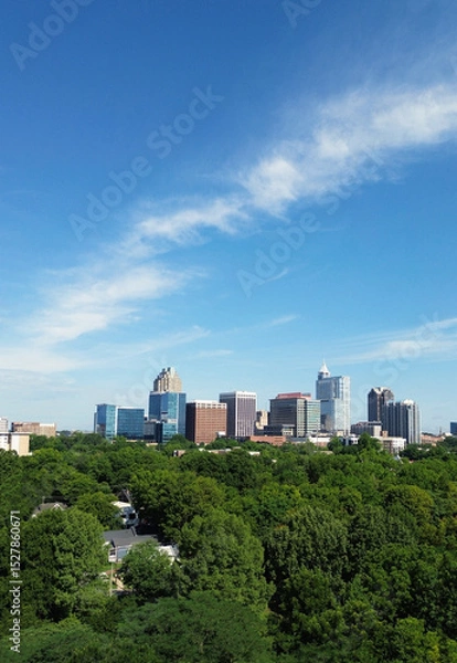 Obraz View of the downtown Raleigh skyline with trees in the foreground