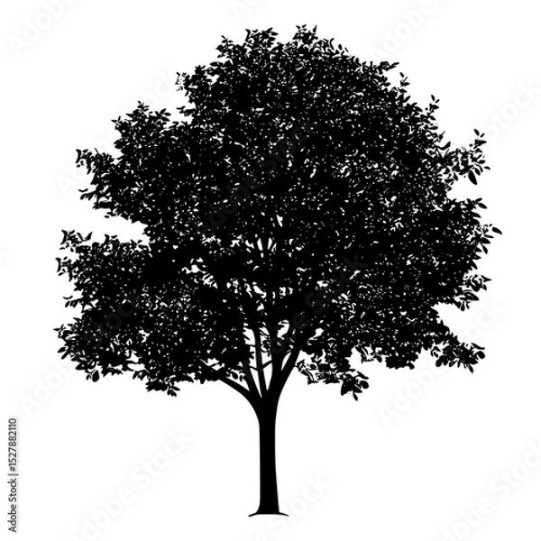Obraz black silhouette of a tree on a white background black, silhouette, tree , Generative art.