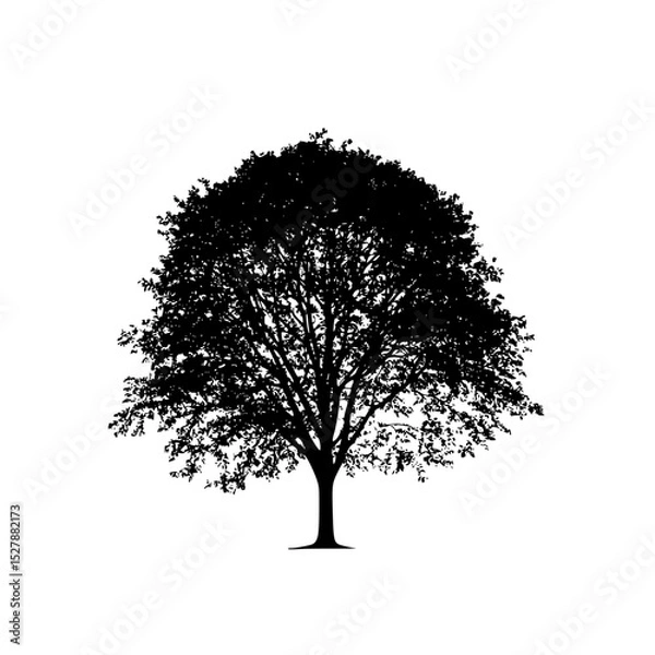 Obraz black silhouette of a tree on a white background black, silhouette, tree , Generative art.