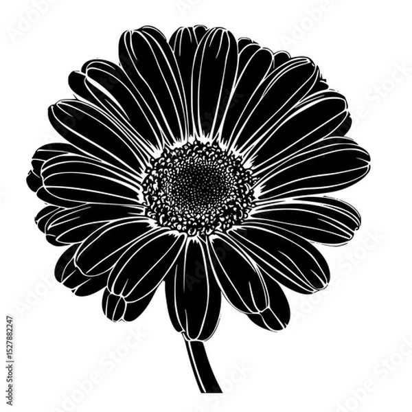 Obraz a black and white picture of a flower black, daisy, flower, picture, silhouette , Generative art.