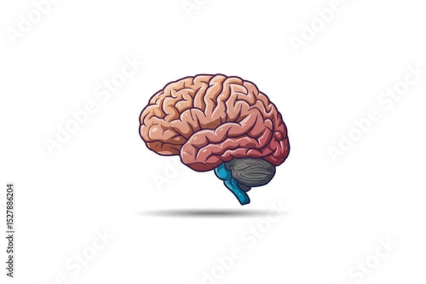 Obraz A detailed human brain graphic perfect for medical websites, educational materials, or brain health branding projects, offering a scalable design for various applications.